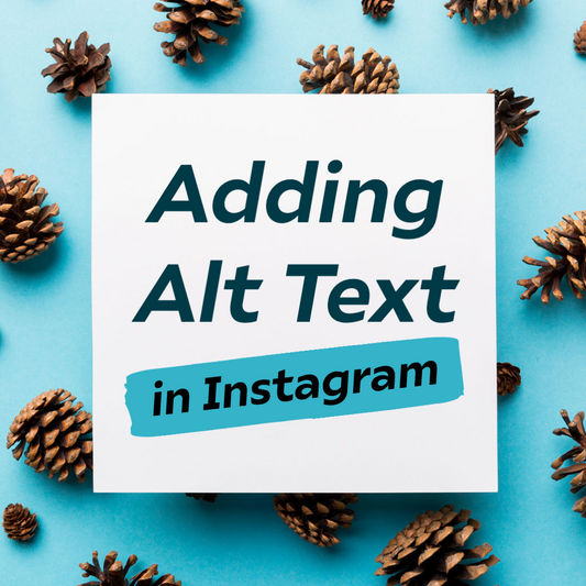 Pine cones sit on a light blue background. A white space is centered over the background containing text that reads "Adding Alt Text in Instagram".